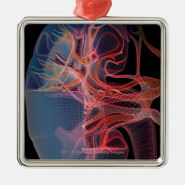 Wireframe of the inside of a kidney metal ornament (Front)