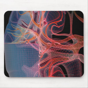 Wireframe of the inside of a kidney mouse pad