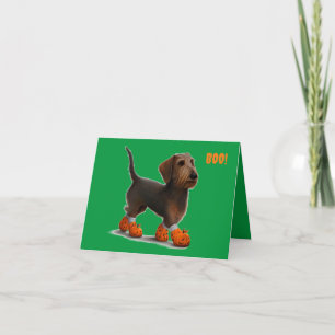 Wirehair Dachshund Halloween Card
