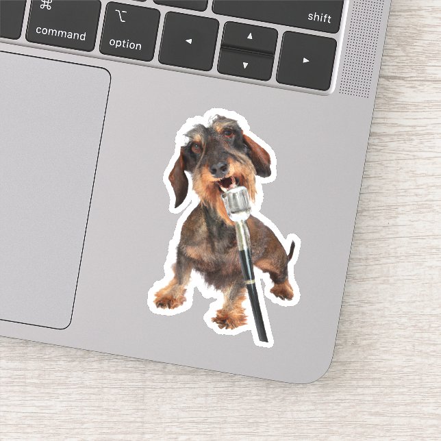 Wirehair Dachshund Singing Sticker (Detail)