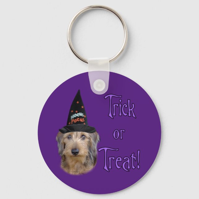 Wirehair Dachshund Trick Keychain (Front)