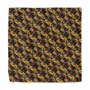 Wirehair Dachshunds Bandana