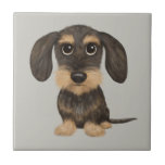 Wirehaired Dachshund | Cute Cartoon Dog Teckel Ceramic Tile<br><div class="desc">Wirehaired wild boar and tan colored Teckel. Visit Jenn's Doodle World for even more accessories for home and office with this funny Dachshund and more original wiener dog designs.</div>