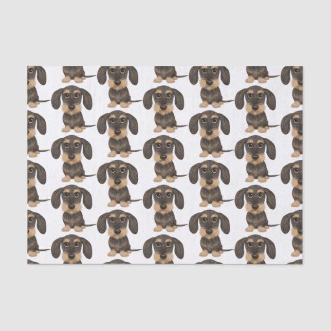 Wirehaired Dachshund | Cute Teckel Dog Patterned Tissue Paper (Front)