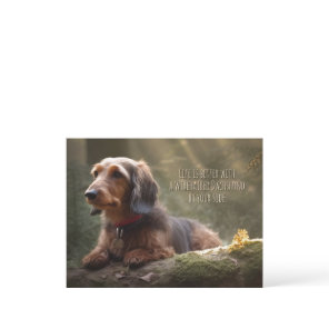 Wirehaired Dachshund in Forest Postcard