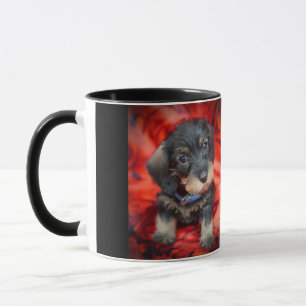 wirehaired dachshund puppy coffee mug