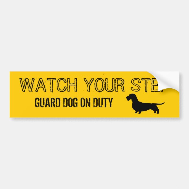 Wirehaired Dachshund Watch Your Step Bumper Sticker (Front)