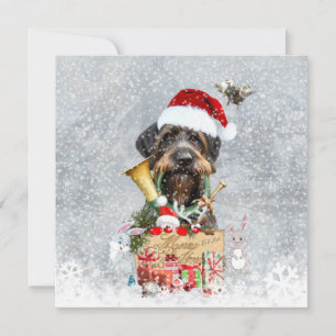 Wirehaired Pointer, Dog Christmas
