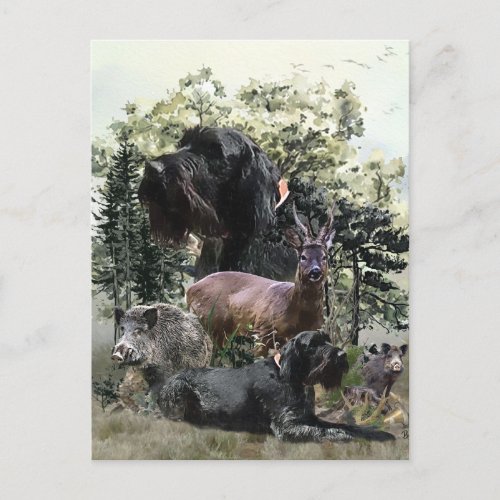 Wirehaired Pointer   Outdoors Hunting Postcard