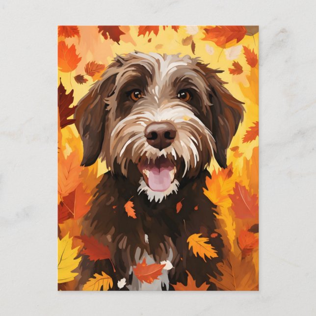 Wirehaired pointing griffon Autumn Thanksgiving  Postcard (Front)