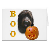 Wirehaired Pointing Griffon Boo (Front Horizontal)