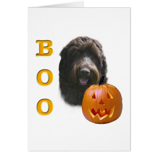 Wirehaired Pointing Griffon Boo Cards (Front)