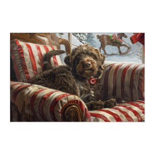 Wirehaired Pointing Griffon Dog Christmas Festive Acrylic Print