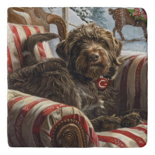 Wirehaired Pointing Griffon Dog Christmas Festive Trivet
