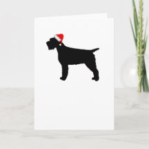 Wirehaired Pointing Griffon Dog With Red Santa Hat