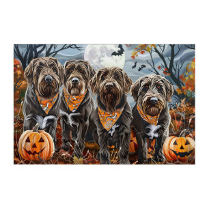 Wirehaired Pointing Griffon Halloween Spooky Acrylic Print