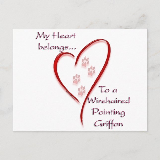 Wirehaired Pointing Griffon Heart Belongs Postcard (Front)