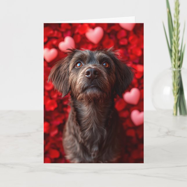 Wirehaired Pointing Griffon Hearts Valentine's Day Card (Front)