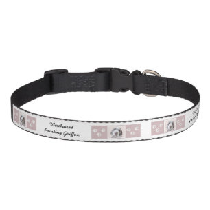 Wirehaired Pointing Griffon Painting - Dog Art Pet Collar