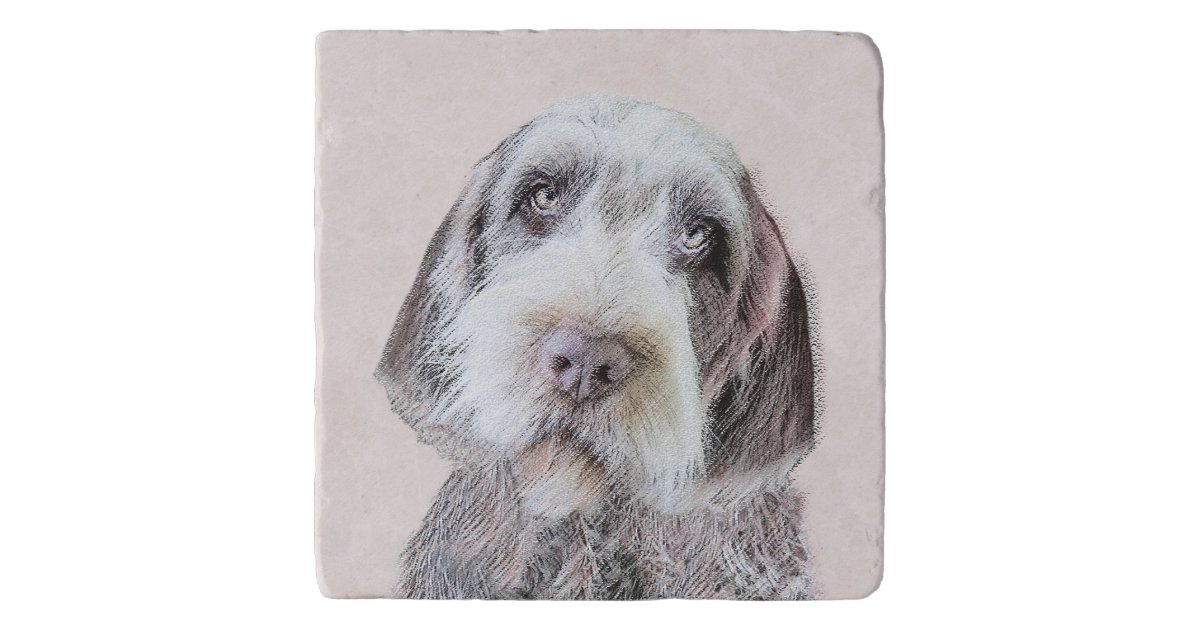 Wirehaired Pointing Griffon Painting Dog Art Trivet Zazzle Com