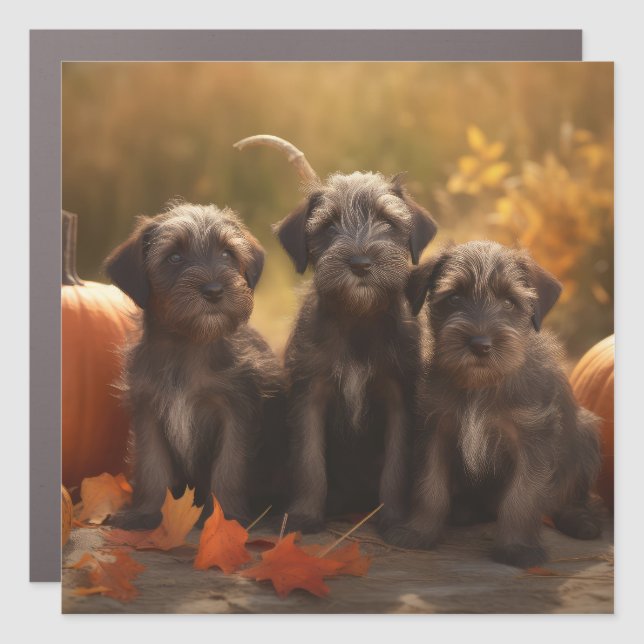 Wirehaired Pointing Griffon Puppy Autumn Car Magnet (Front)
