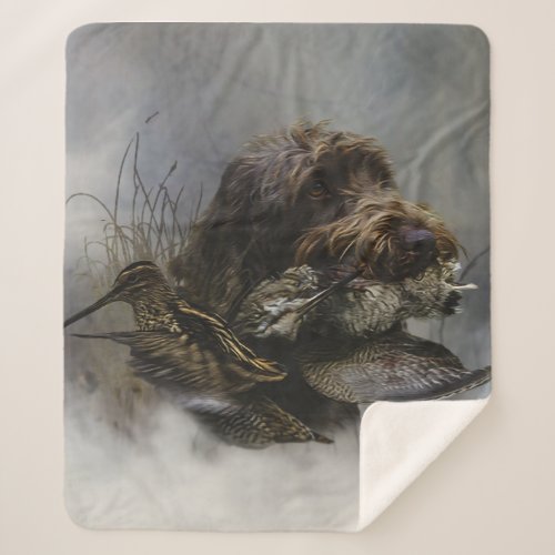 Wirehaired Pointing Griffon  Woodcock hunting   Sherpa Blanket