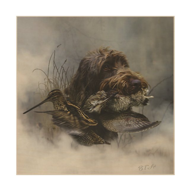 Wirehaired Pointing Griffon , Woodcock hunting   Wood Wall Art (Front)
