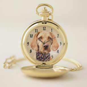Wirehaired Vizsla Painting - Cute Original Dog Art Pocket Watch