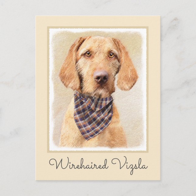 Wirehaired Vizsla Painting - Cute Original Dog Art Postcard (Front)