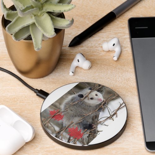 Wireless Charger Opossum Nature