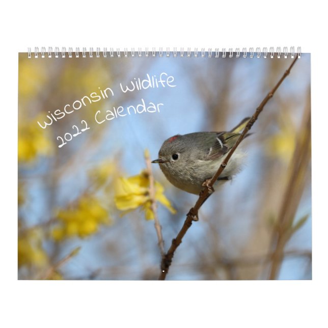 Wisconsin 2022 Wildlife Calendar (Cover)