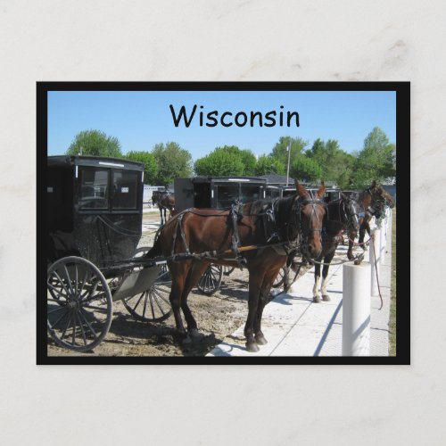 Wisconsin Amish Postcard