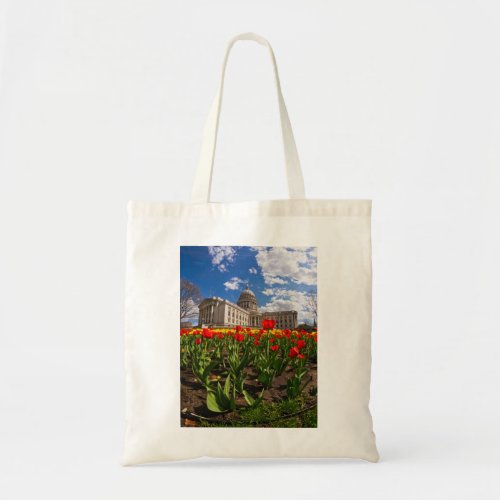 Wisconsin Capitol and Tulips 3 Tote Bag