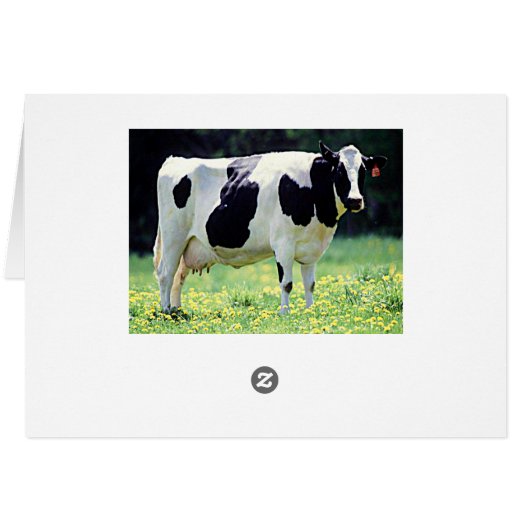 Wisconsin Dairy Cow (Back Horizontal)