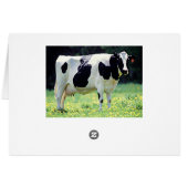 Wisconsin Dairy Cow Cards (Back Horizontal)