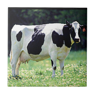 Wisconsin Dairy Cow Ceramic Tile