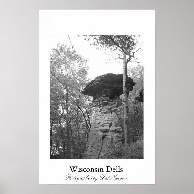 Wisconsin Dells Poster (Front)