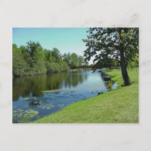 Wisconsin Medford Stream River Water Park Picnic Postcard