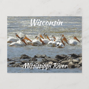 Wisconsin, Mississippi River Memorabilia Postcard