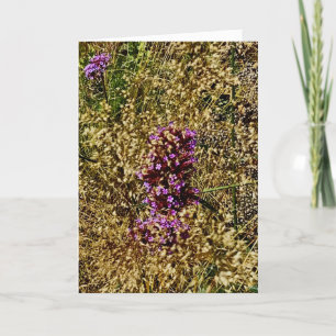 Wisconsin Purple Wildflower, Fall 2021 Card