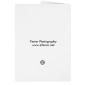 Wisconsin State Capitol Building and Entrance (Back)