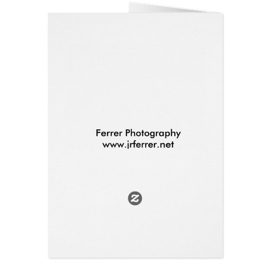 Wisconsin State Capitol Building and Entrance (Back)