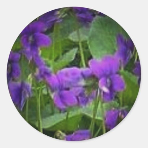 Wisconsin State Flower Wood Violet Sticker