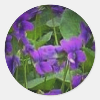 Wisconsin State Flower: Wood Violet Sticker
