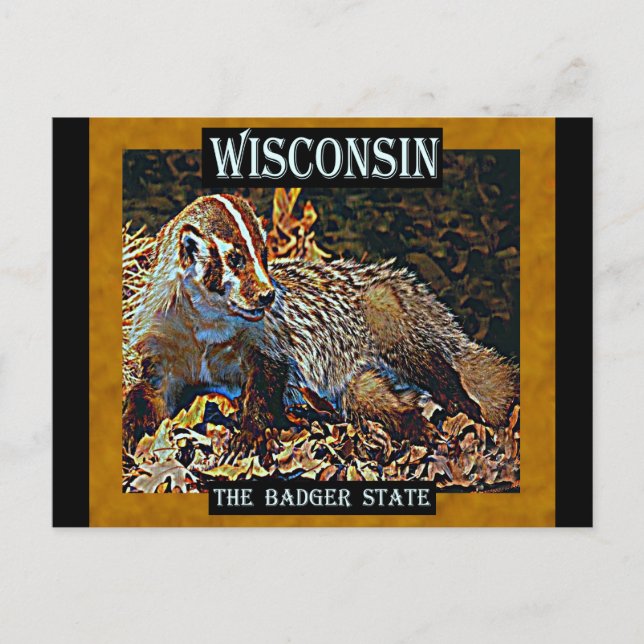 Wisconsin The Badger State Postcard (Front)