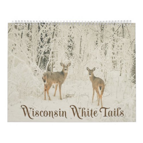 Wisconsin White Tails Calendar