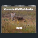 Wisconsin Wildlife Calendar 2025<br><div class="desc">Each month will feature a photograph of a different Wisconsin animal. All photos were taken in Wisconsin.</div>