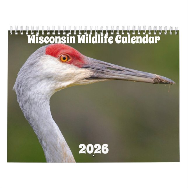 Wisconsin Wildlife Calendar 2026 (Cover)