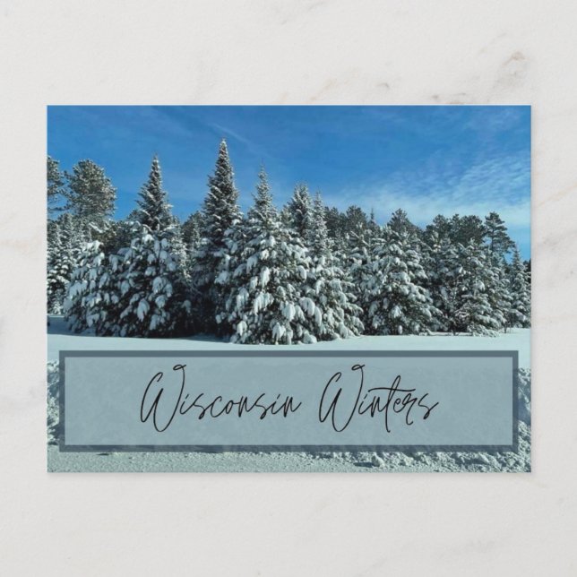 Wisconsin Winters  Postcard (Front)