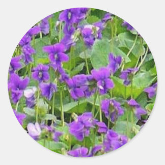 Wisconsin Wood Violets Classic Round Sticker